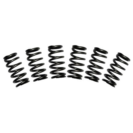 BD Diesel 60 lb Valve Spring Set - 5.9L 12-Valve Cummins