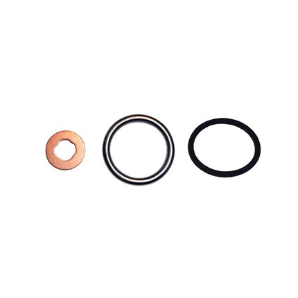 Bostech BT7103117 Cummins Injector Seal