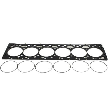 Industrial Injection Fire Ring Gasket Kit - 2003-2007 Dodge 5.9L Cummins